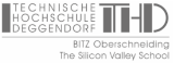 Deggendorf Institute of Technology